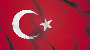 Экспорт муки в Турцию