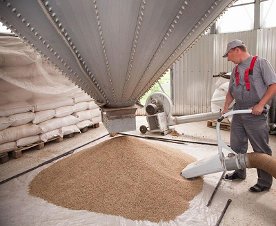 Подача пшеницы на производство муки